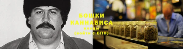 мдпв Верхний Тагил