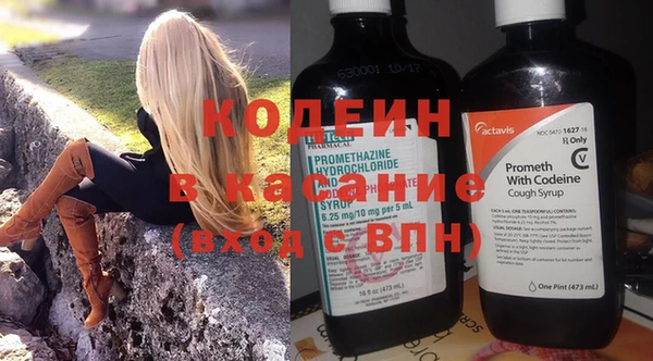 мдпв Верхний Тагил