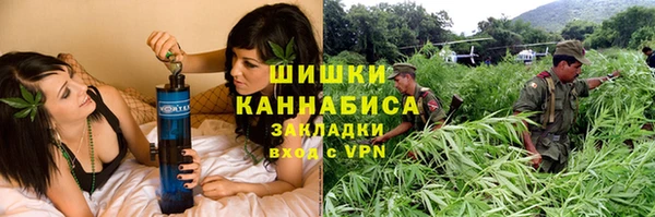 мдпв Верхний Тагил