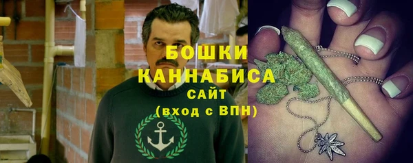 мдпв Верхний Тагил