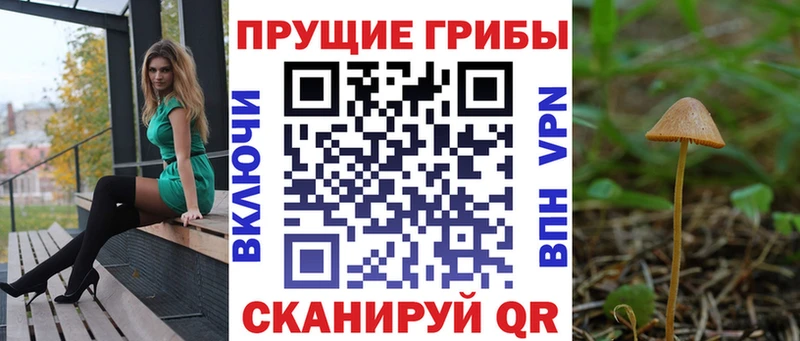 Галлюциногенные грибы прущие грибы  Купить закладки  Нестеров 